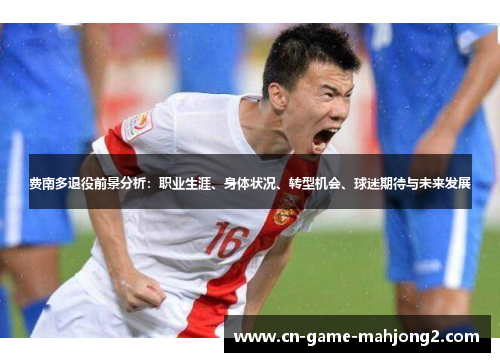 费南多退役前景分析：职业生涯、身体状况、转型机会、球迷期待与未来发展